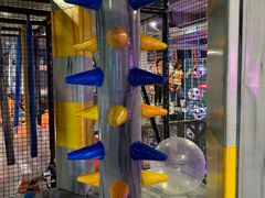 -嗨翻Hi-Fun竞技主题乐园·蹦床亲子生日轰趴(国光1937店)