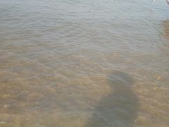 -西中岛海滨