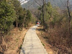 -桃花岭景区