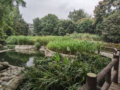 -成都市活水公园