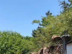 -老张烤羊(王哥庄店)