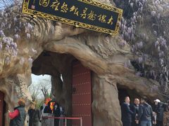 -大槐树寻根祭祖园