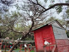 -广东花都香草世界旅游度假区