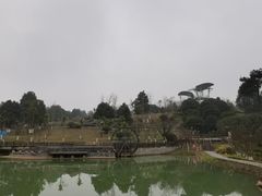 -铁山坪森林公园