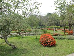 -中国科学院西双版纳热带植物园