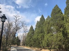 -白水寺森林公园