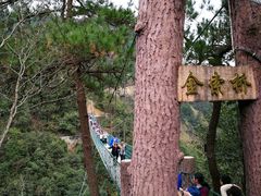 -遂昌金矿国家矿山公园