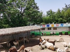 -西安秦岭野生动物园