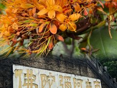 -大雁山风景区