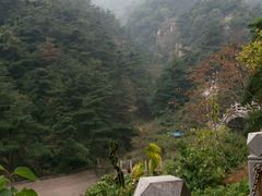 -沂蒙山旅游区云蒙景区(蒙山国家森林公园)