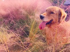 -白鹭湾湿地公园