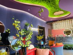 -花隐·美芙炫海菲秀皮肤管理中心