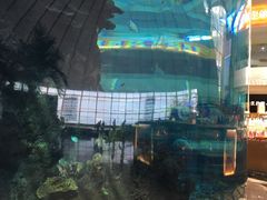 -碧桂园十里银滩