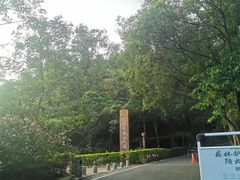 -大屏嶂森林公园