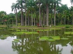 -中国科学院西双版纳热带植物园