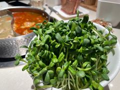 -浩爷羊蝎子火锅(双榆树店)