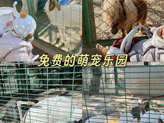 -大明幻境第一城