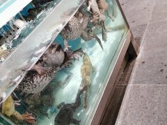 -盒马鲜生(红莲店)