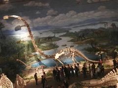 -自贡恐龙博物馆