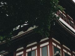 -新加坡佛牙寺龙华院