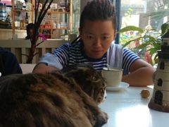 android_upload_pic-Anne猫窝咖啡屋