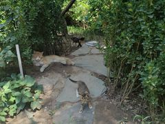 -李叔同故居纪念馆