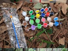 -南宁良凤江国家森林公园