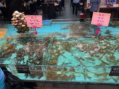 -九號渔港·蒸汽海鲜·粤菜茶点(八卦岭店)