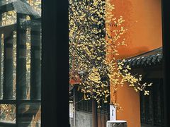 -灵谷景区