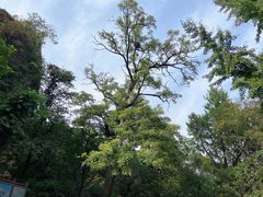 -鹫峰国家森林公园