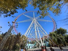 -哈尔滨文化公园