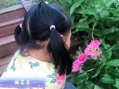 -大塘金香草谷
