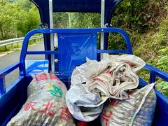 -东天目山风景区