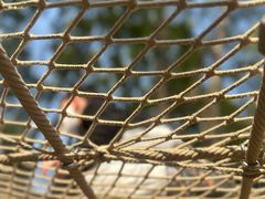 -宁波儿童公园(鄞州区)