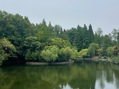 -上海滨江森林公园