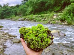 -红峡谷