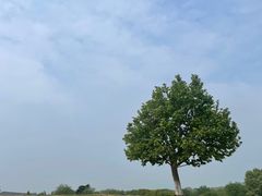 -钟山体育运动公园