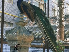 -罔极寺
