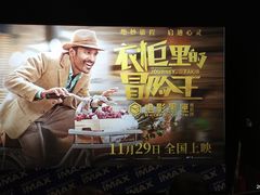 -博纳国际影城IMAX(中央大道店)