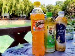 -尚庄度假村·庭台树下·户外烧烤·团建CS·轰趴营地(上庄水库店)