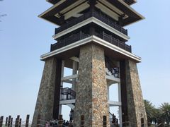 -大湾区中央湿地公园
