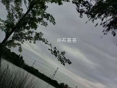 -昆山城市生态森林公园