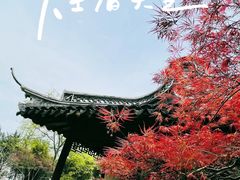 -上海醉白池公园