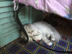 -广州迷途主题旅馆(海珠广场店)