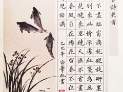 -万达广场(武汉菱角湖店)