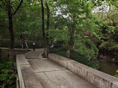 -水绘园