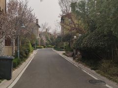 -芭东小镇温泉