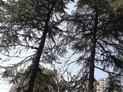 -老洋房花园饭店(绍兴路店)