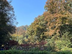 -岳麓山风景名胜区