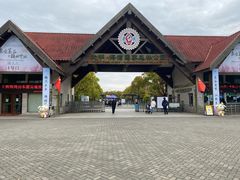 -上海海湾国家森林公园